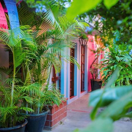 Hotel Las Golondrinas Oaxaca Экстерьер фото