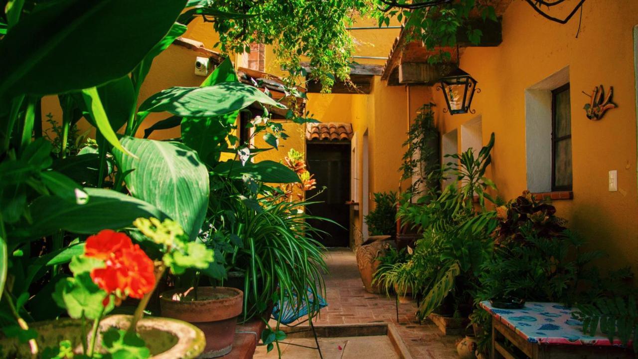 Hotel Las Golondrinas Oaxaca Экстерьер фото