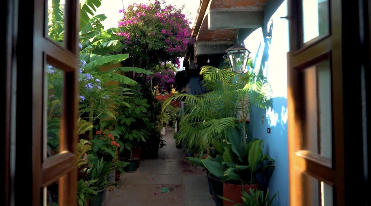 Hotel Las Golondrinas Oaxaca Экстерьер фото