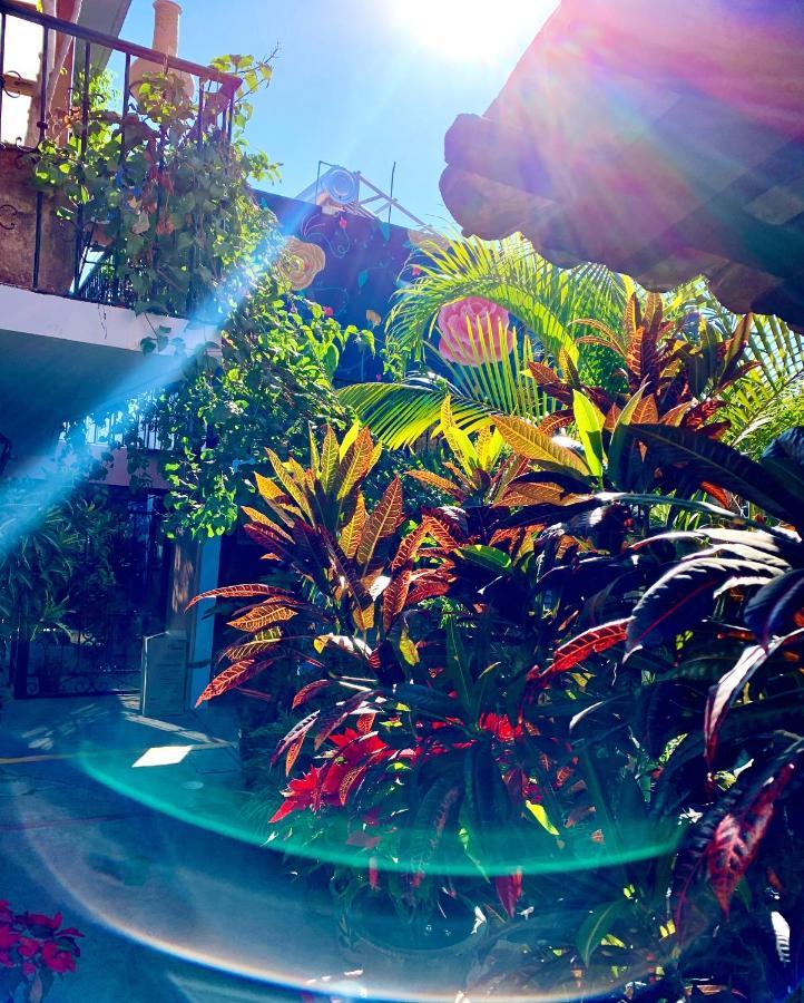 Hotel Las Golondrinas Oaxaca Экстерьер фото