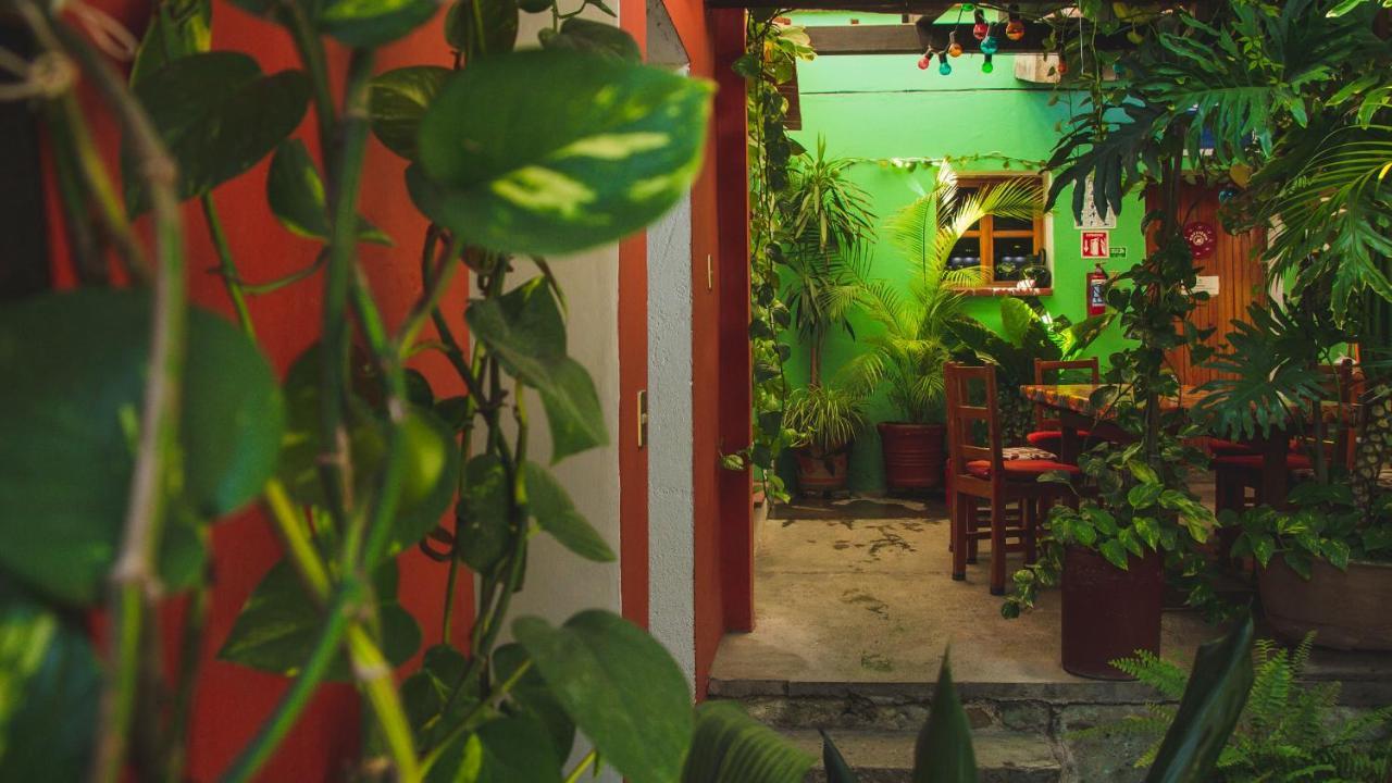 Hotel Las Golondrinas Oaxaca Экстерьер фото