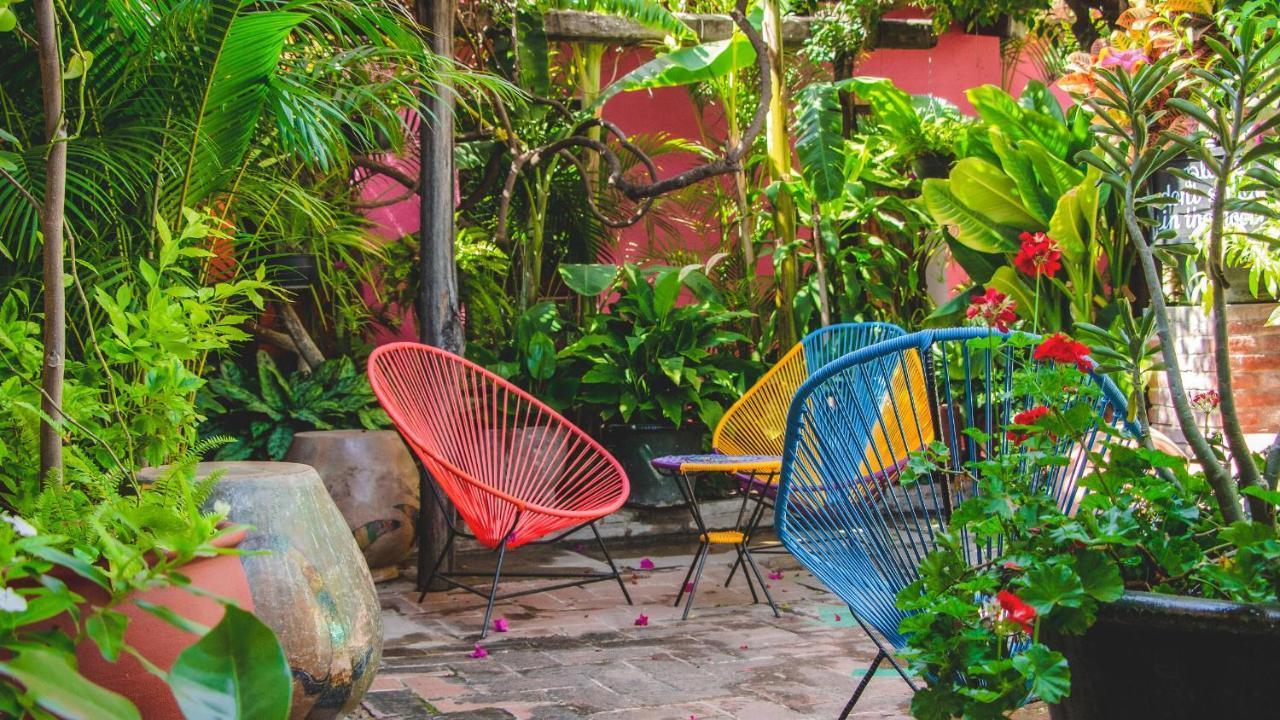 Hotel Las Golondrinas Oaxaca Экстерьер фото