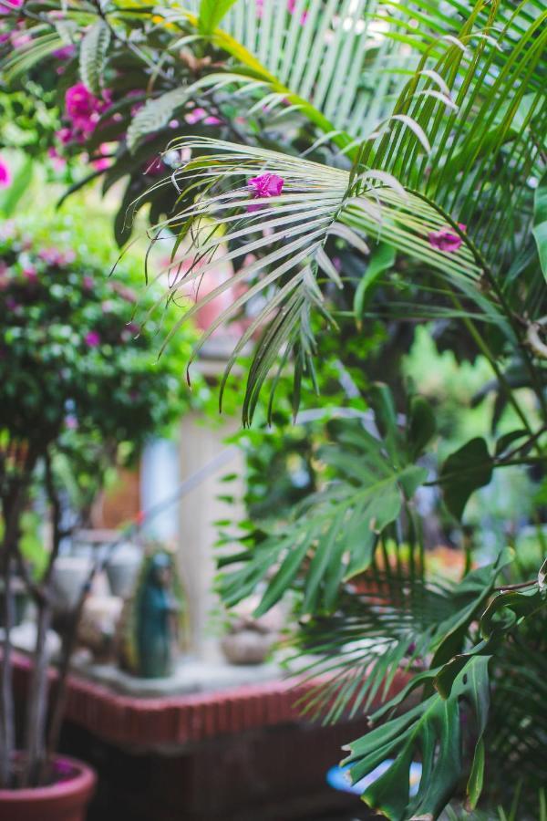 Hotel Las Golondrinas Oaxaca Экстерьер фото