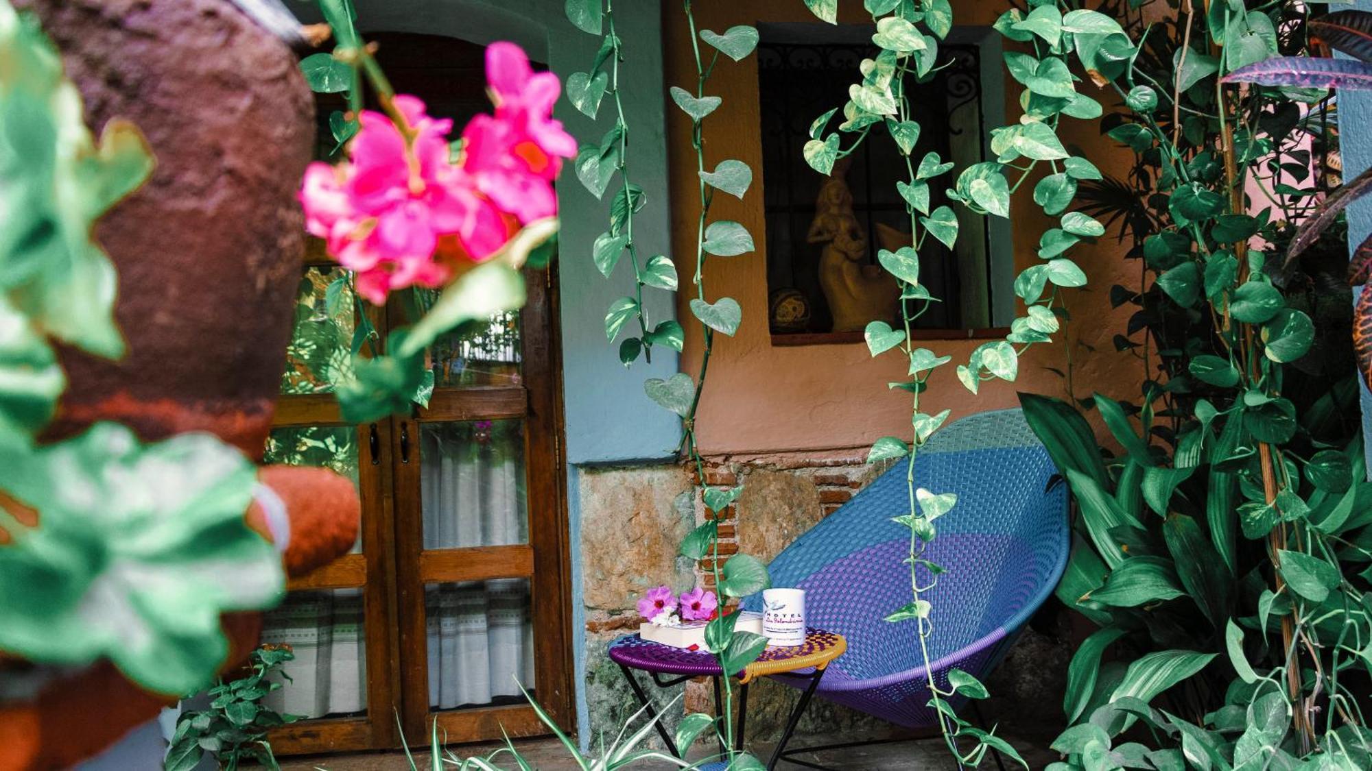 Hotel Las Golondrinas Oaxaca Экстерьер фото
