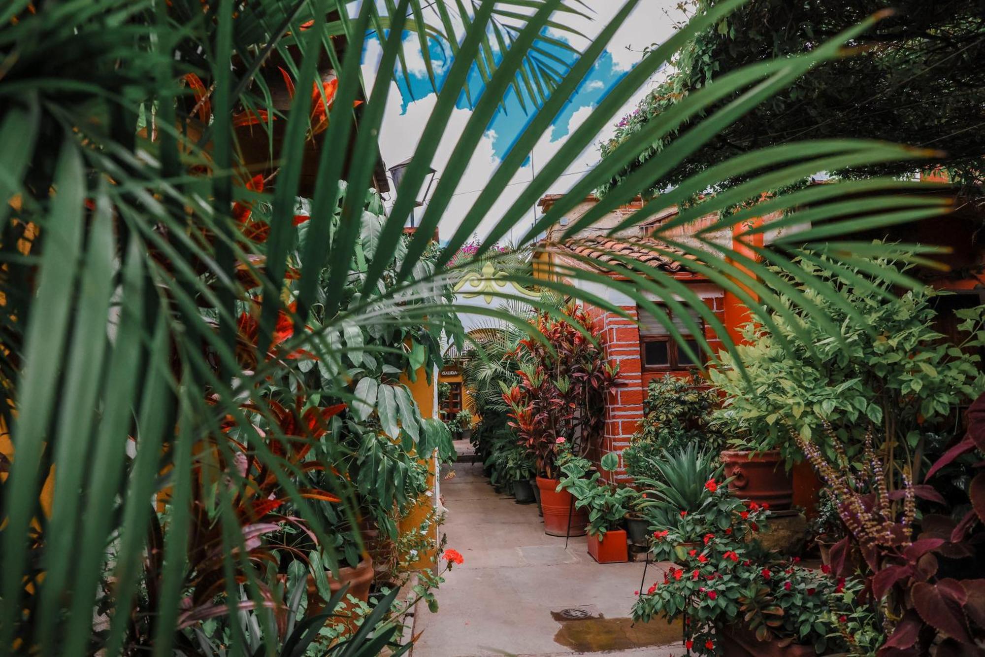 Hotel Las Golondrinas Oaxaca Экстерьер фото