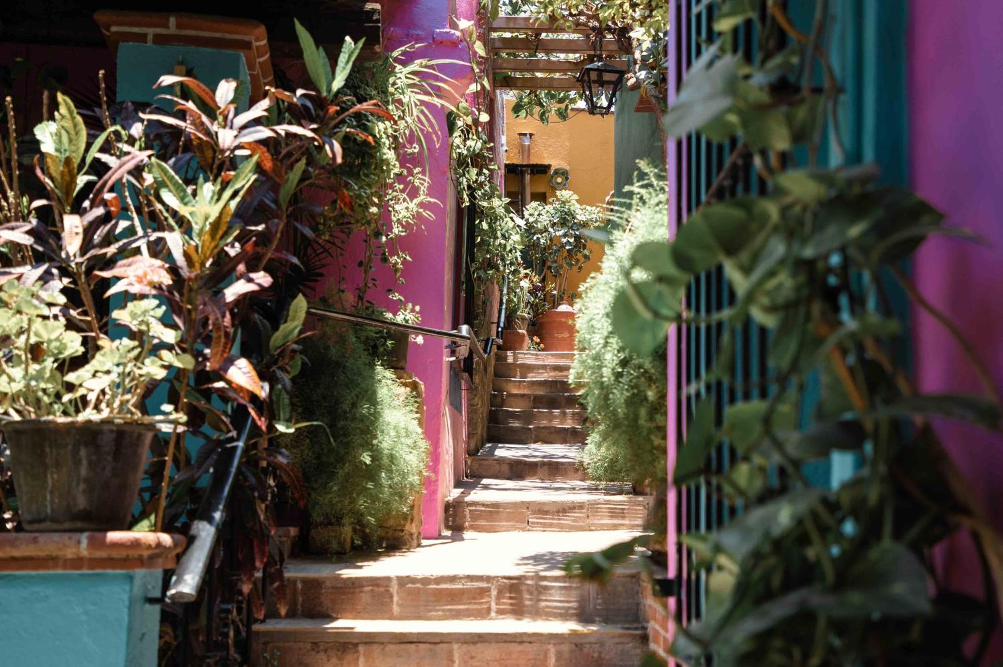 Hotel Las Golondrinas Oaxaca Экстерьер фото