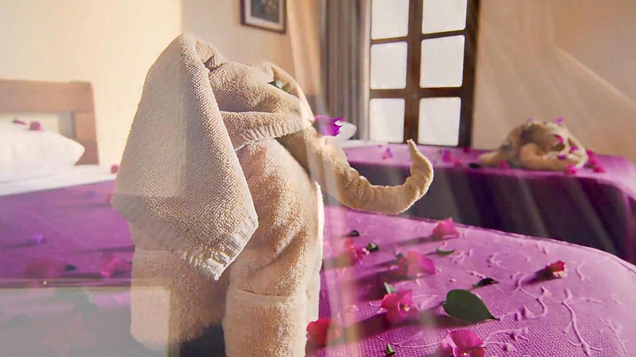 Hotel Las Golondrinas Oaxaca Экстерьер фото