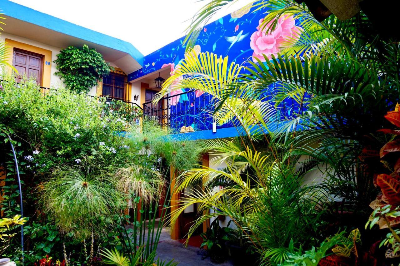 Hotel Las Golondrinas Oaxaca Экстерьер фото