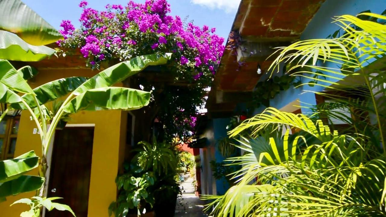 Hotel Las Golondrinas Oaxaca Экстерьер фото