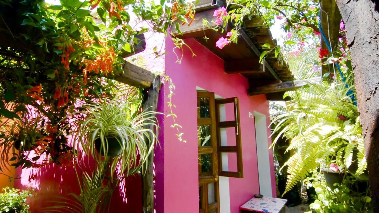 Hotel Las Golondrinas Oaxaca Экстерьер фото